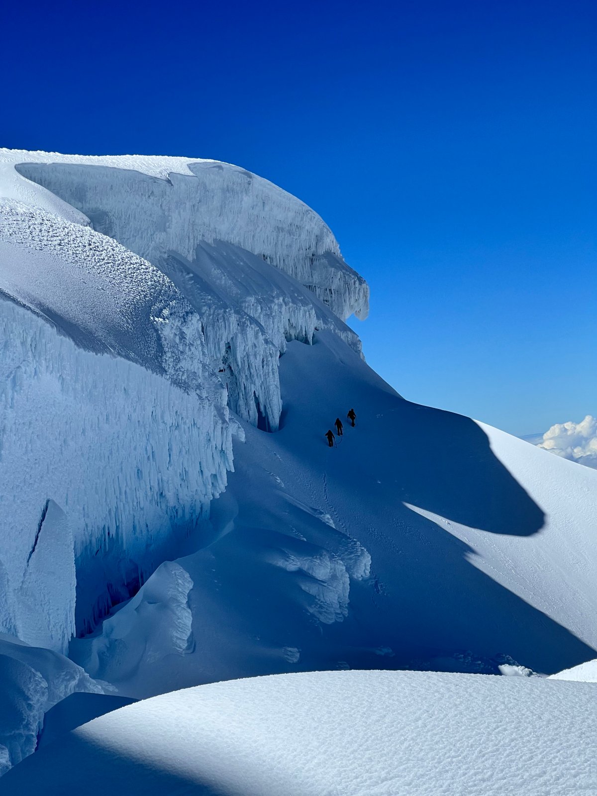 EDIT 20230612 093600 IMG 3004 1-sb